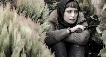 بیل در لواسان از دست بانوی انتقام‌جو می‌گریزد