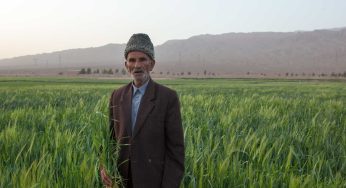 آتش در خرمن