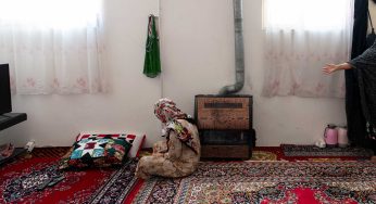 دو سیب در تشویش